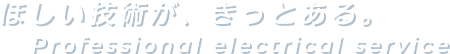 ほしい技術が、きっとある。Professional electrical service